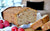 Reduced Sugar Baking